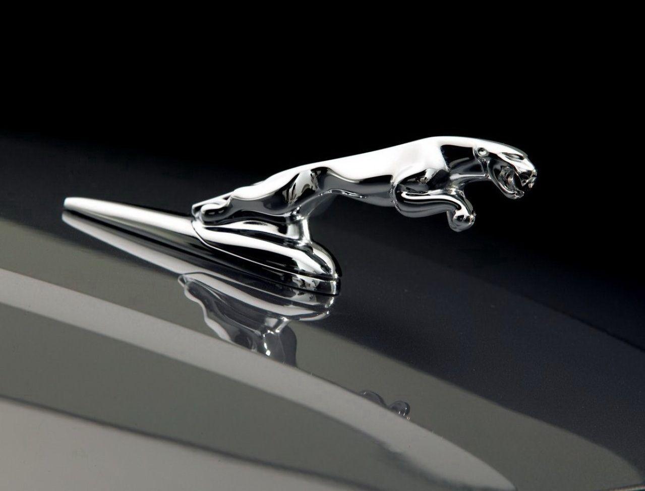 Jaguar Logo Car Symbol Meaning And History Brand Wallpaper HD Pics