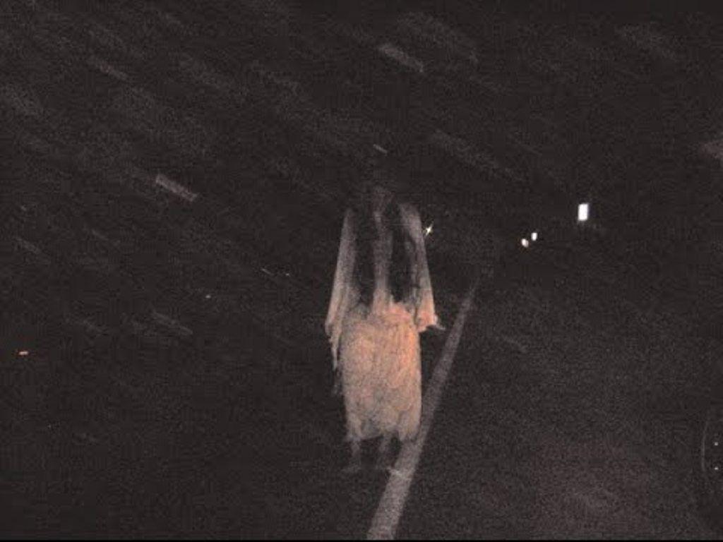 VIDEO: Hombre afirma haber grabado a la Llorona y publica el video