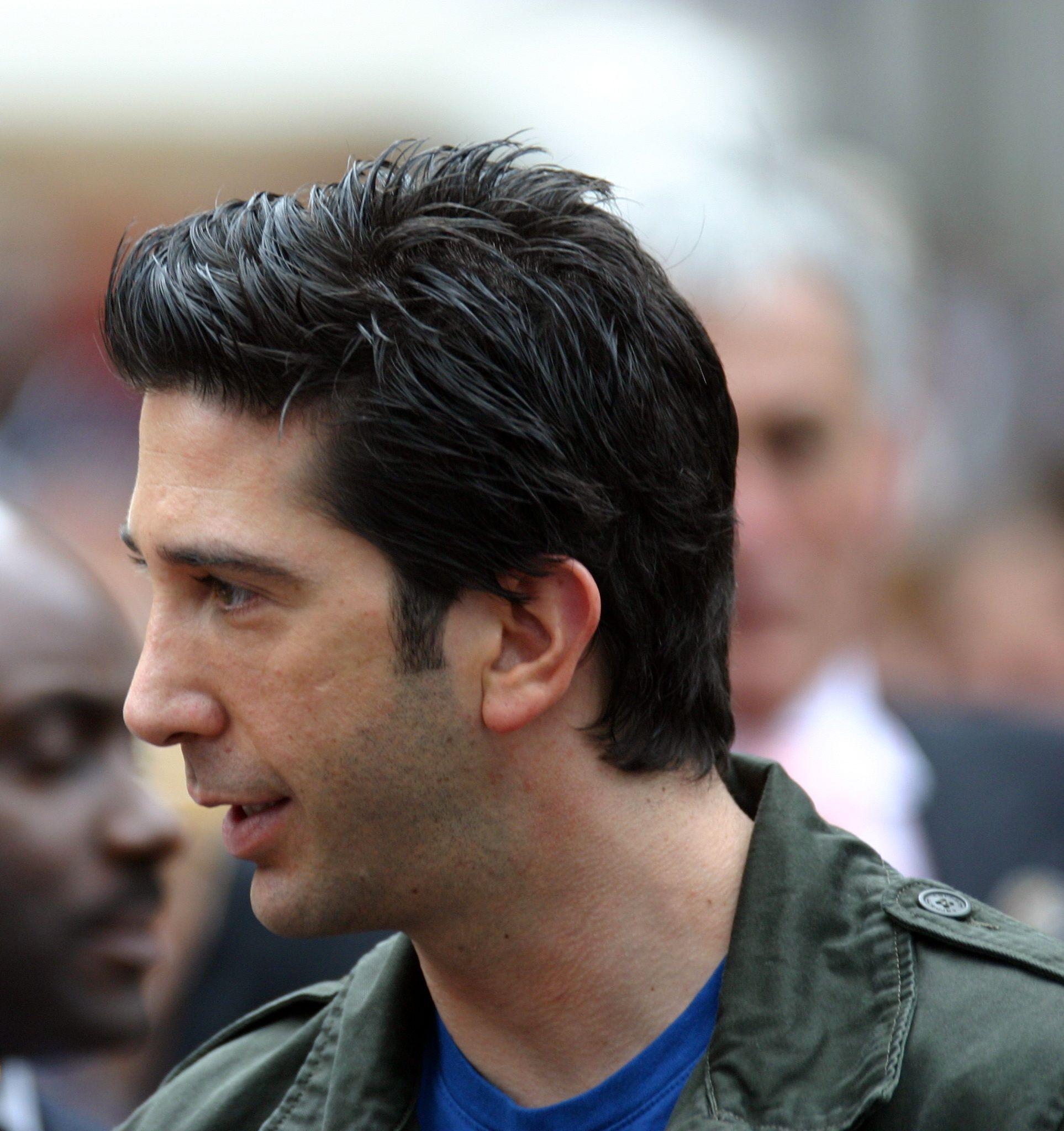 Picture of David Schwimmer, Picture Of Celebrities