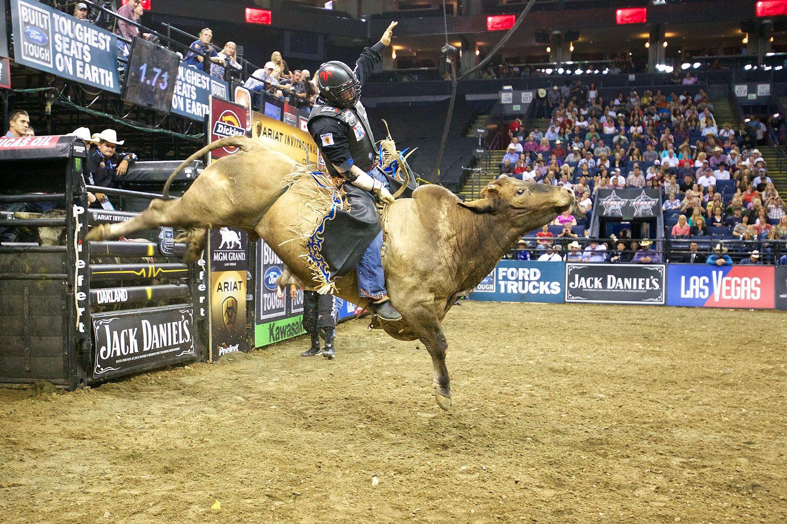 1600x1067px Bull Riding Wallpapers