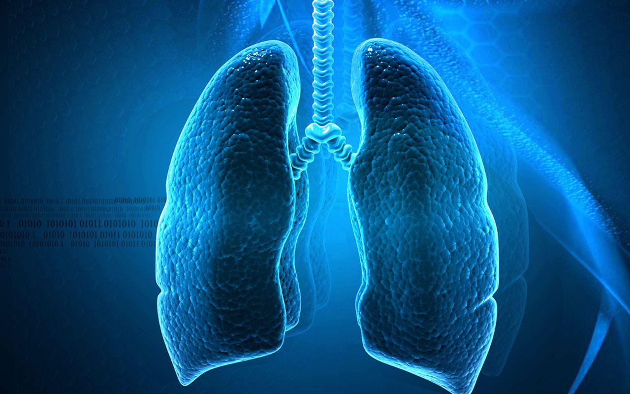 Lung cancer prognosis and chemotherapy sensitivity