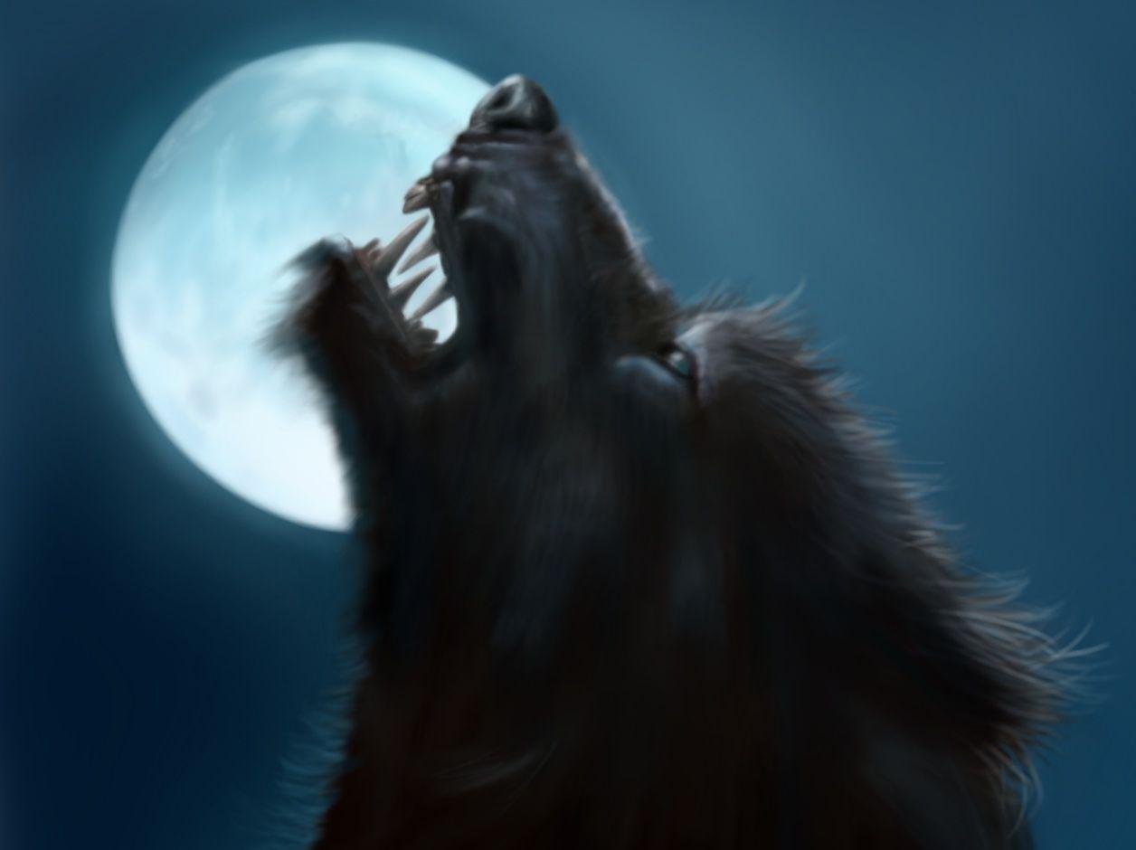 Moon Werewolf wallpaper from Werewolf wallpaper. Wild & Wicked