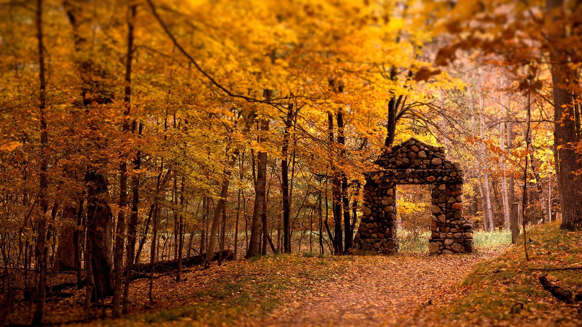 Autumn Wallpaper