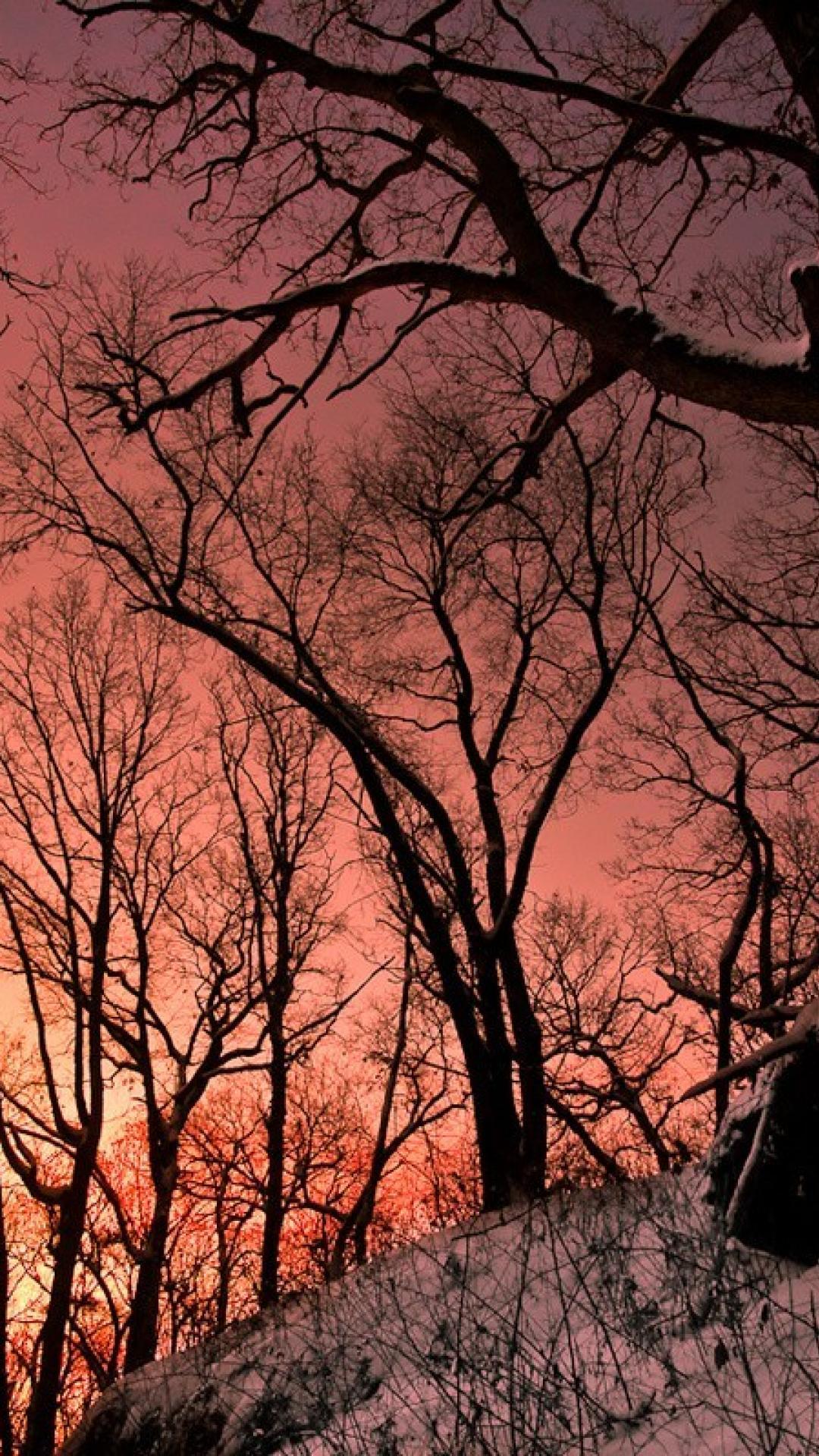 Heaven wonderful world praise the sun area wallpaper