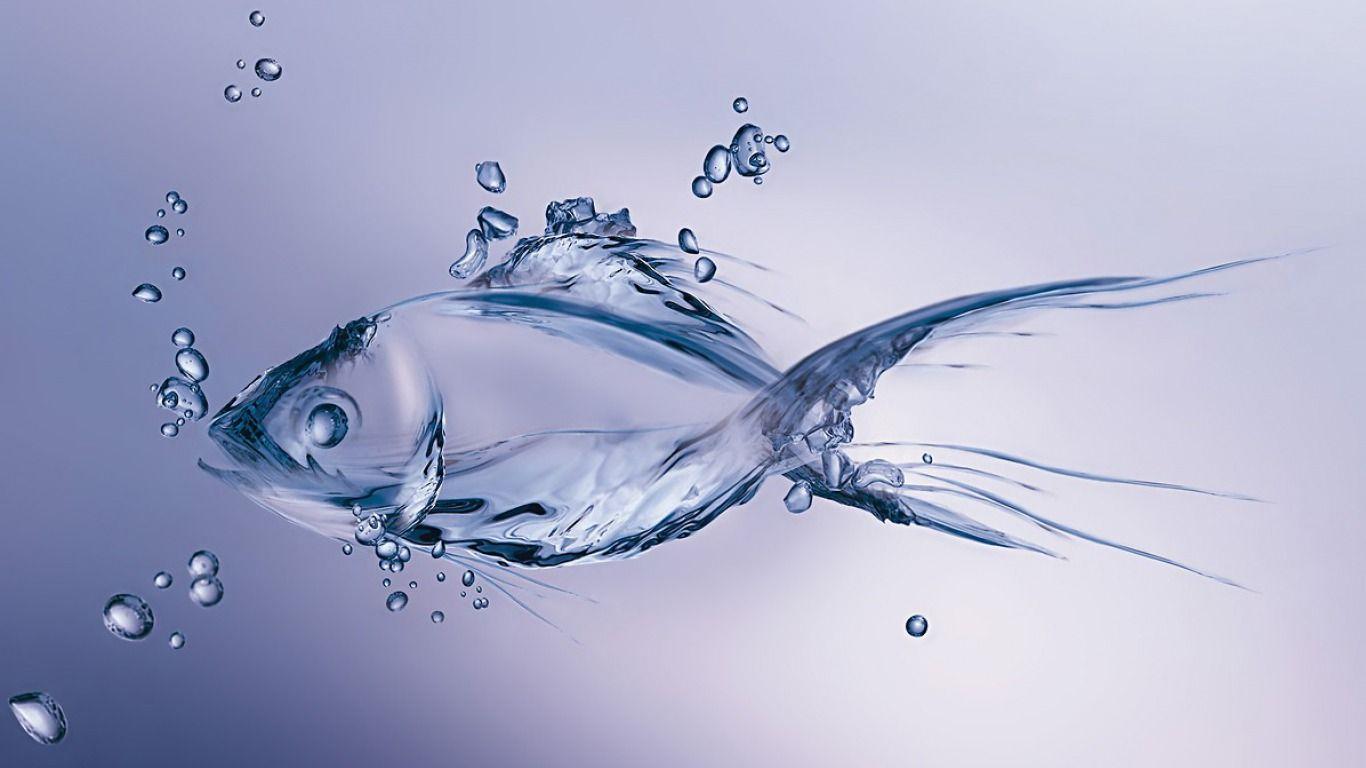 3D Water Fish at 2560 x 1440. Water art, Fish wallpaper, Moving