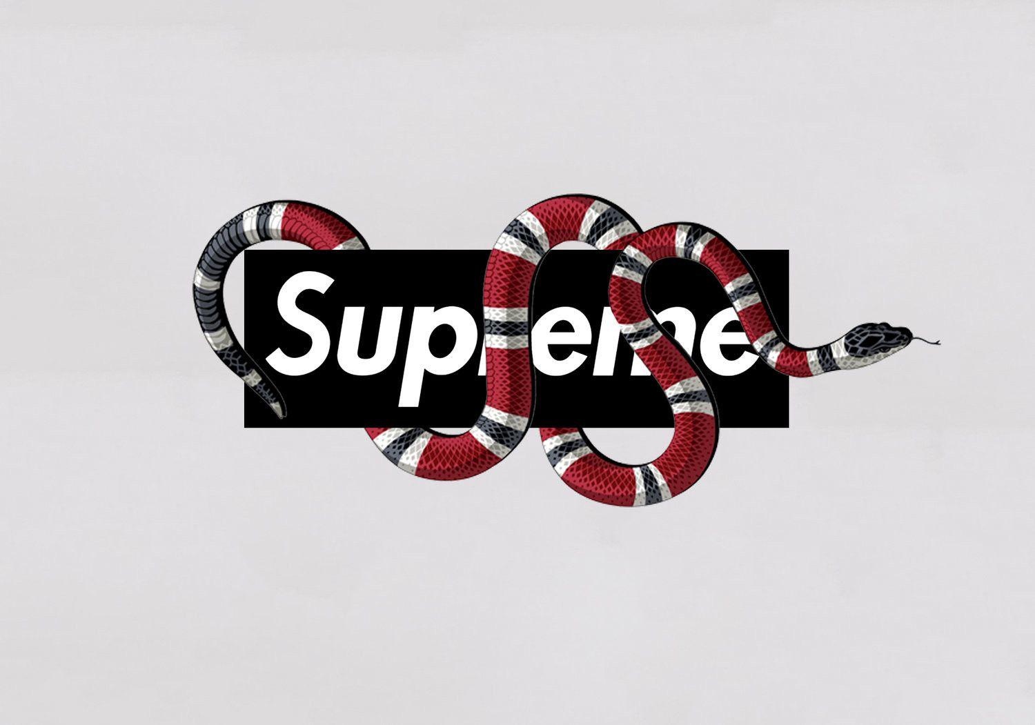Download Gucci Coral Snake With The Supreme Logo Wallpaper  Wallpaperscom