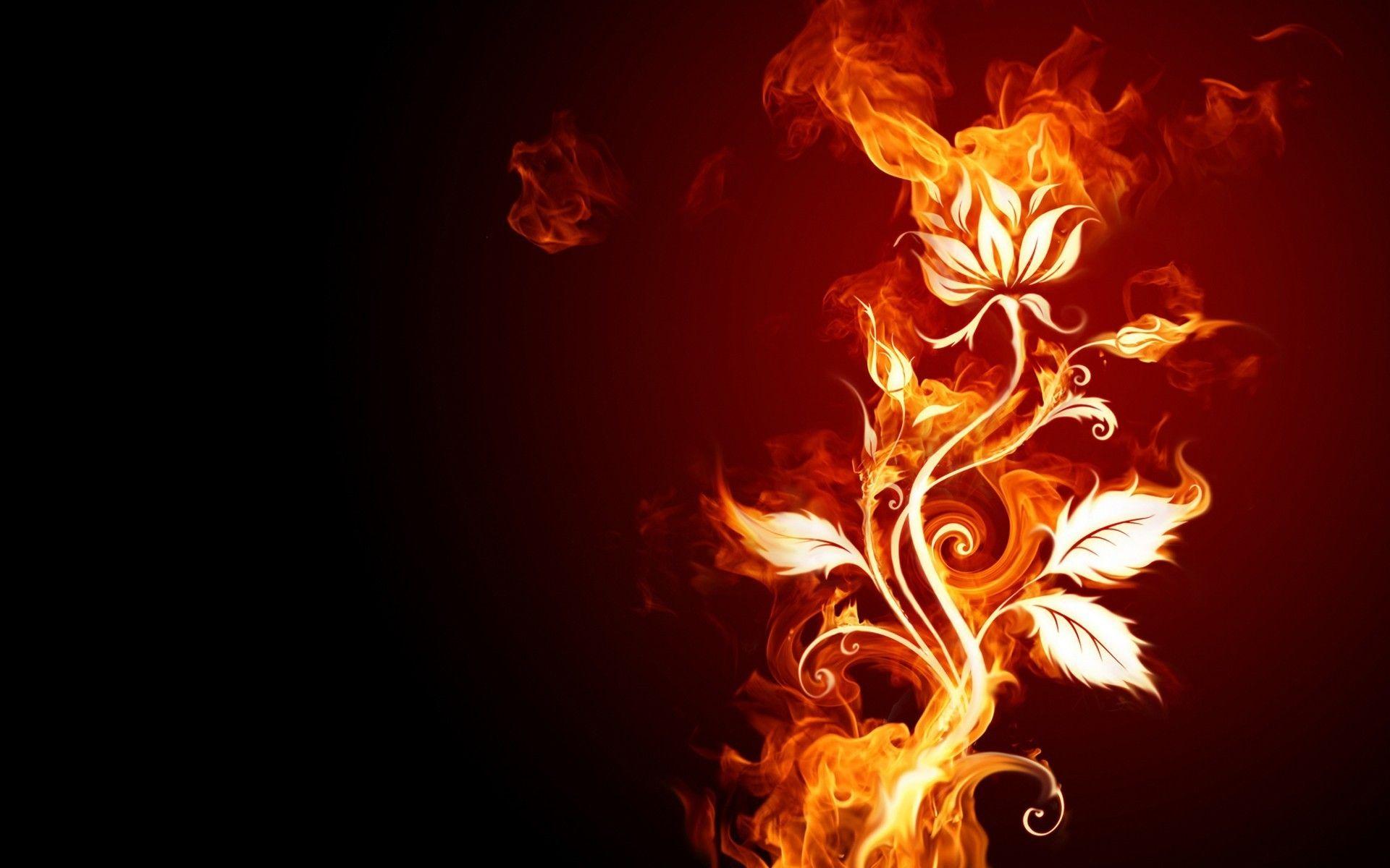 Burn fire flower flames flowers wallpaper