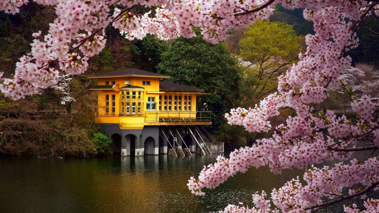 Spring flower tree beauty lake house landscape wallpaperx1080