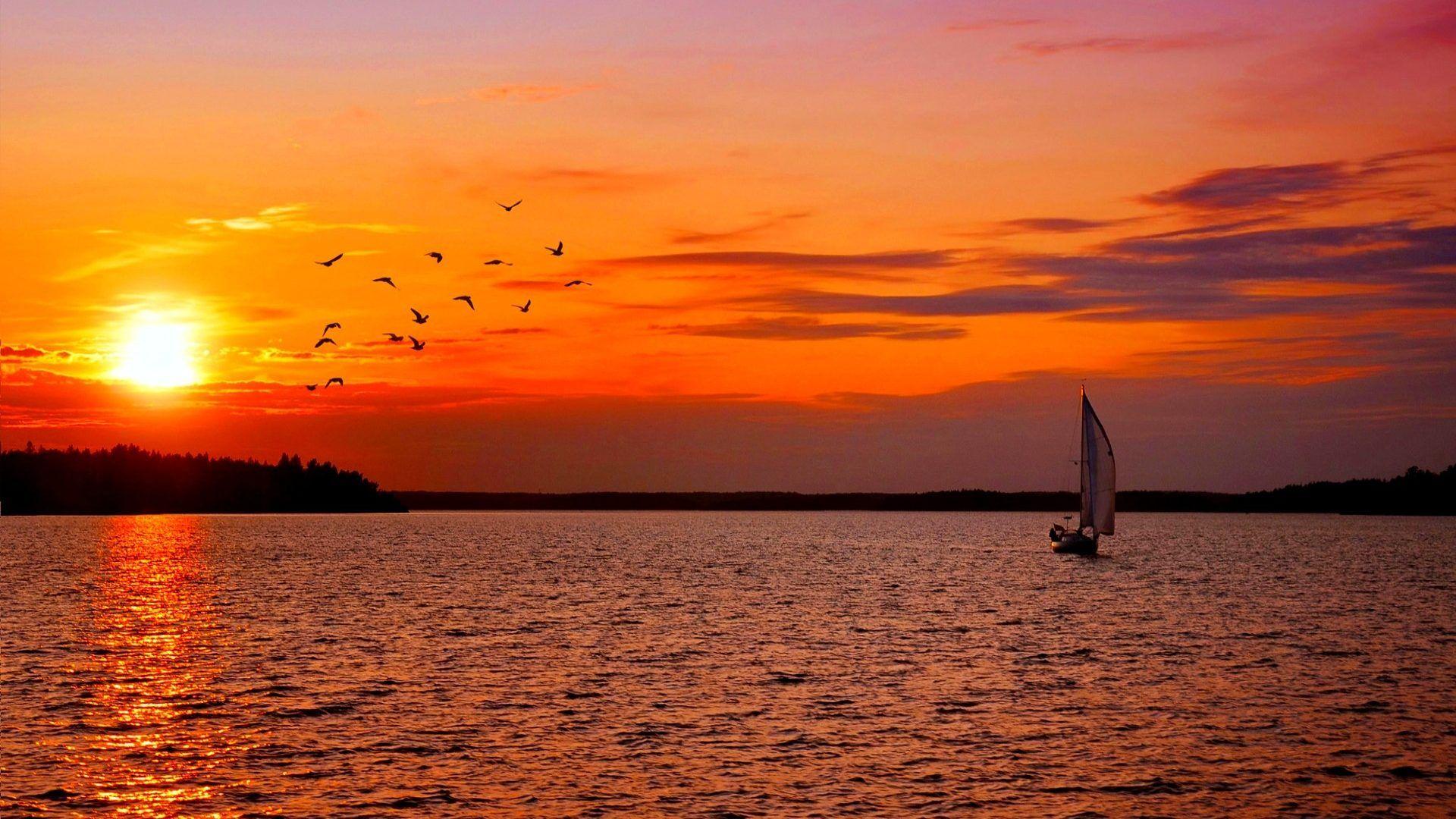 Sunset Sweden Sailing Boat Sail Birds Clouds HD Wallpaper Sunset