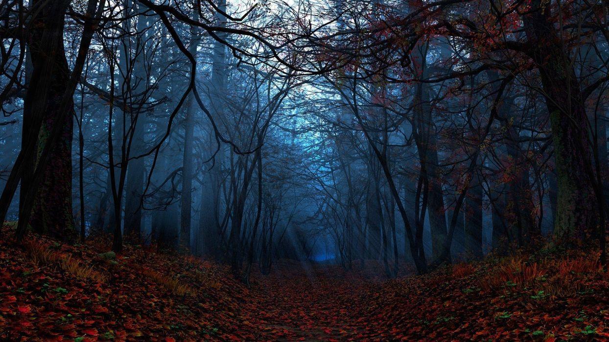 Dark nature leaves Autumn Forest wallpaperx1080
