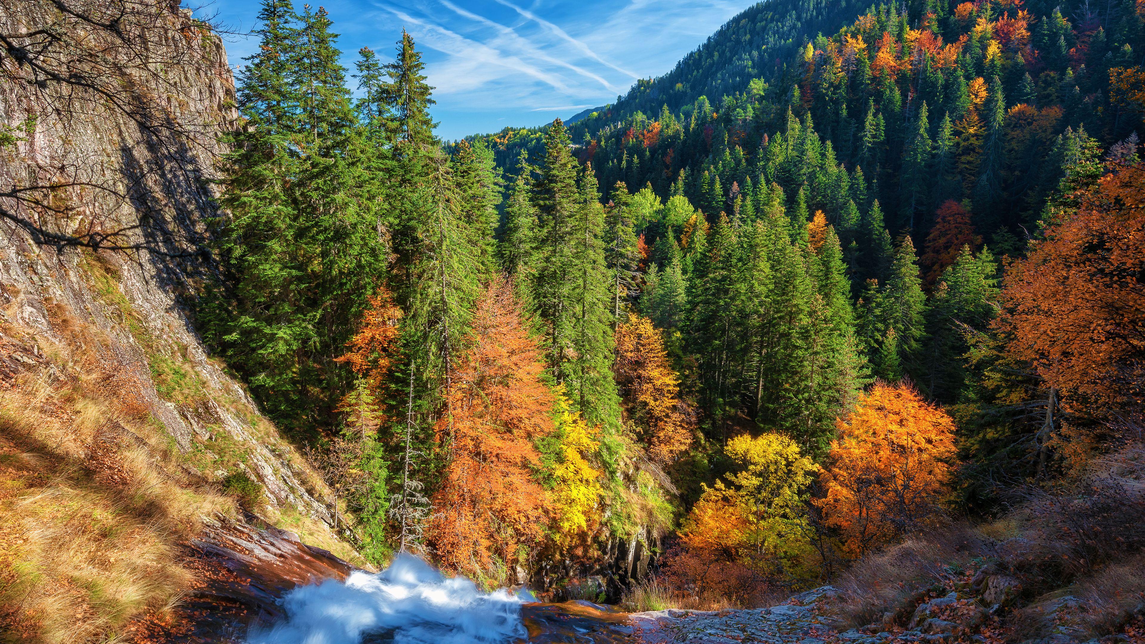 Autumn Forest Wallpapers Wallpaper Cave Autumn Forest Wallpapers Wallpaper Cave