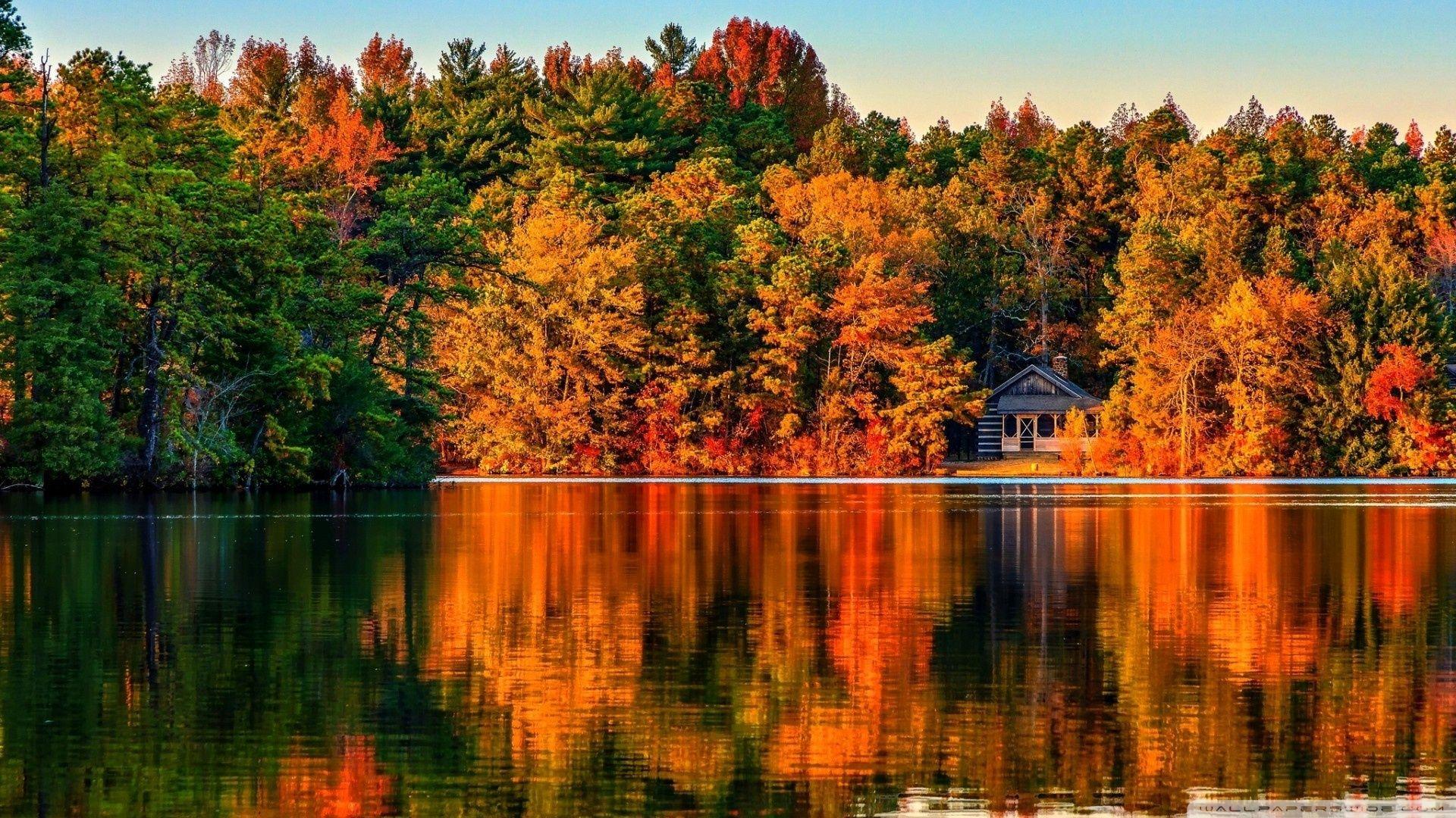 Villa In Autumn Forest ❤ 4K HD Desktop Wallpaper for 4K