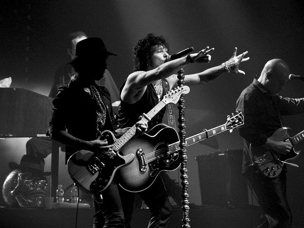 The most interesting Flickr photo of bunbury