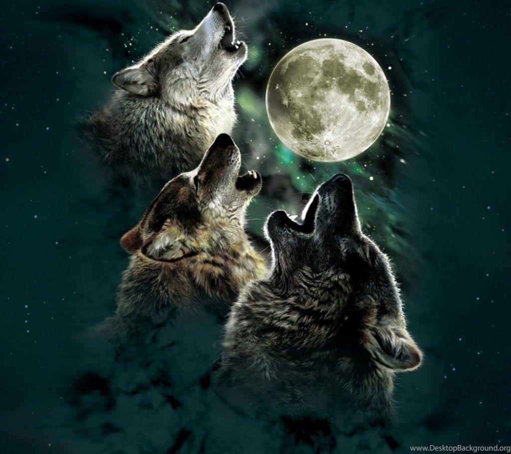 Other Wolves Moon Stars Wolf Wallpaper Picture Free Other