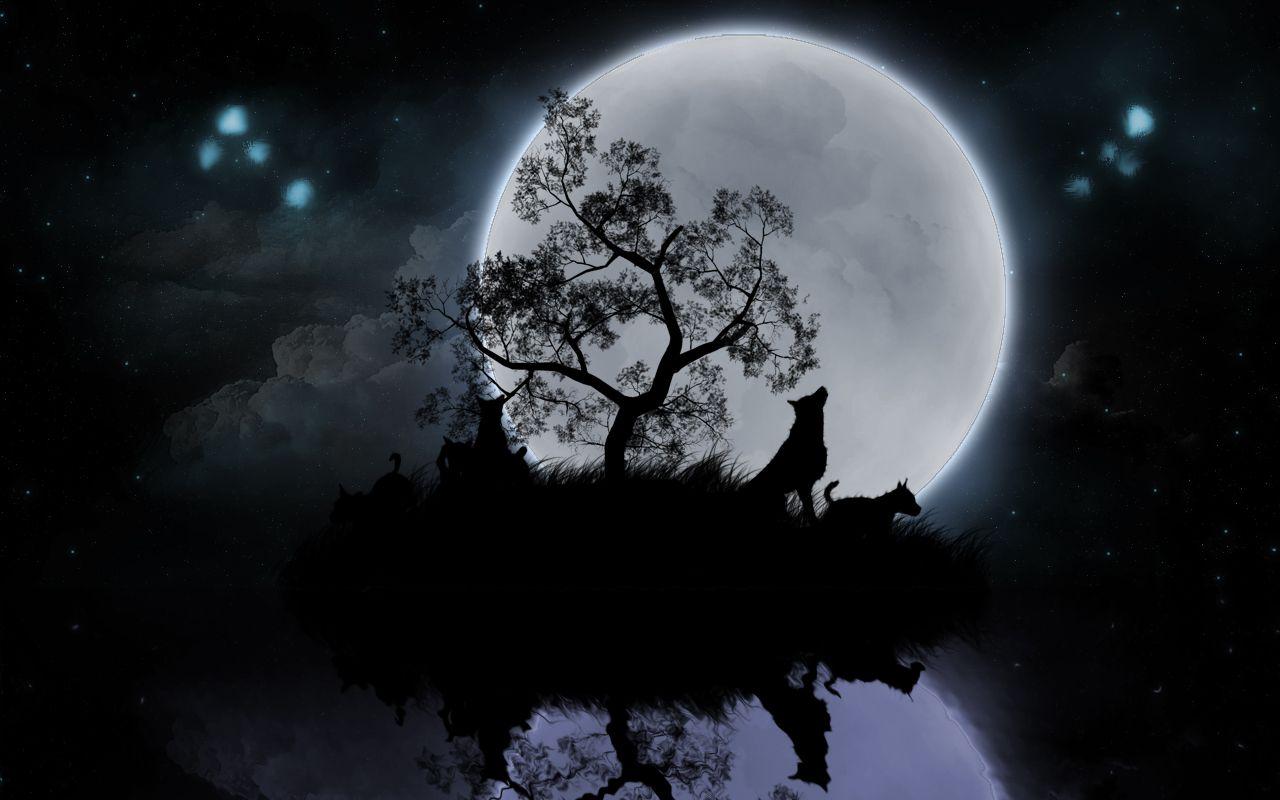 Wolf Moon Wallpaper HD Picture