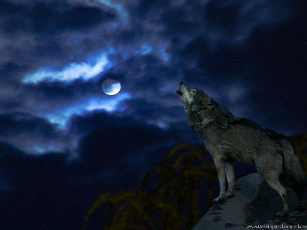 Download Blue Night Sky Wolf Moon Clouds Howling Wallpaper Desktop