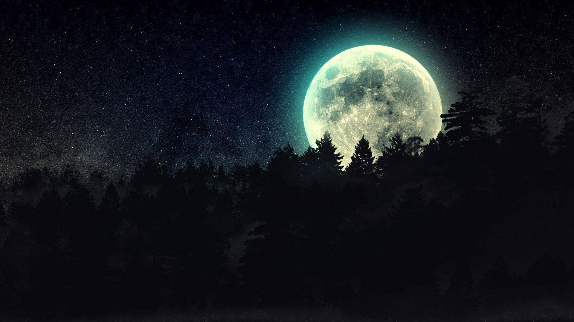 Sky Nature Night Wolf Moon Wallpaper Background Beautiful Full Moon