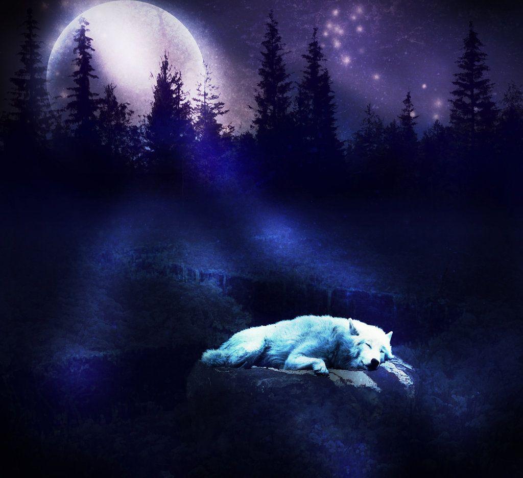 Wolf Moon Wallpaper Gallery (67 Plus) PIC WPW5011414