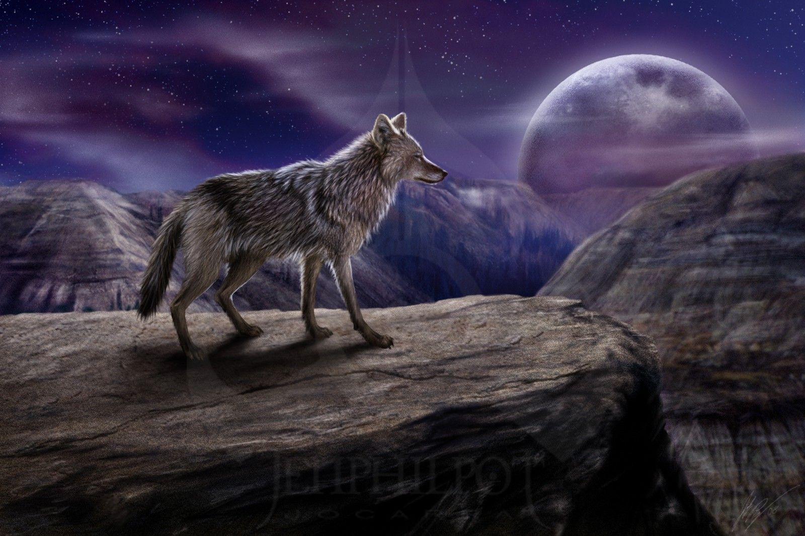 Wolf Moon Wallpaper Gallery (67 Plus) PIC WPW5011409
