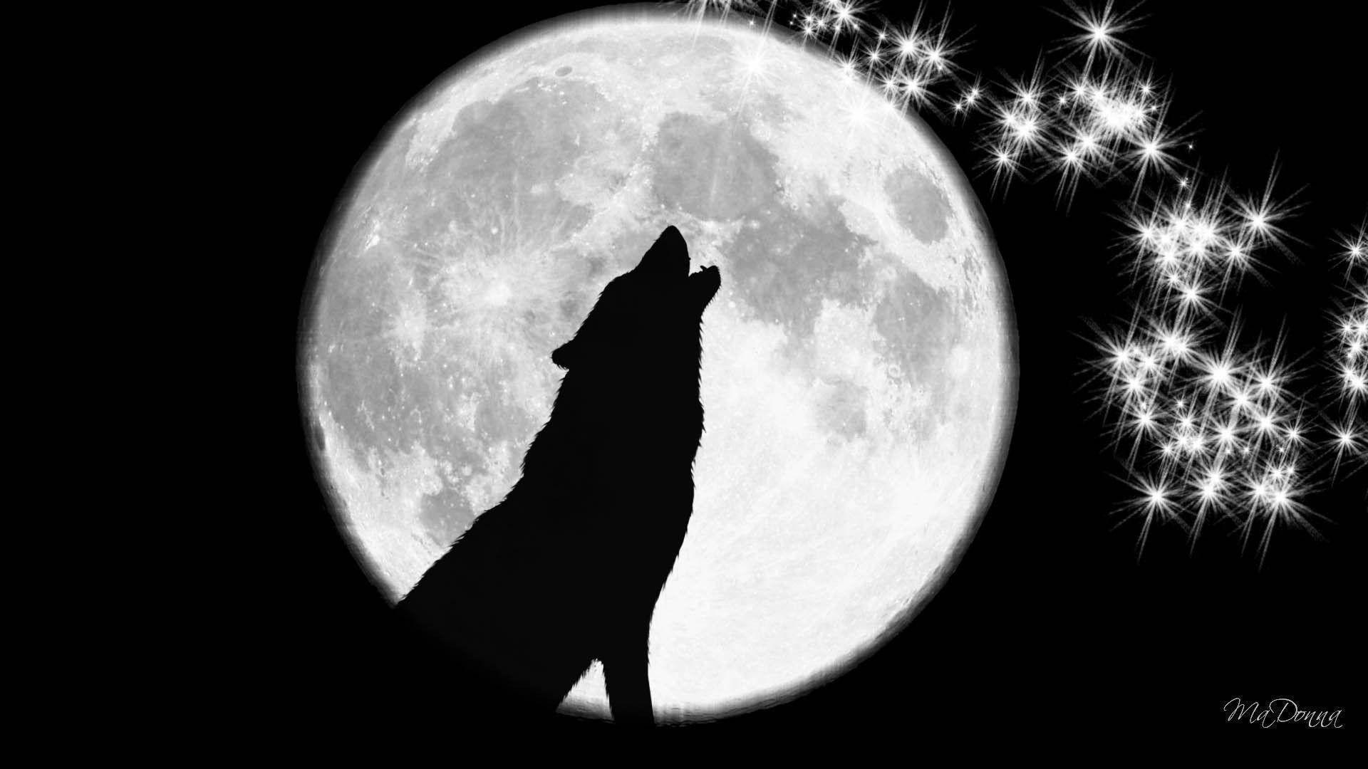 Wolf Howling at The Moon Wallpaper