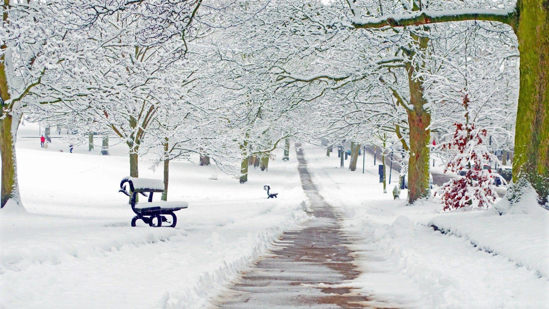 Pictures Of Winter Season Pictures Of Winter Season