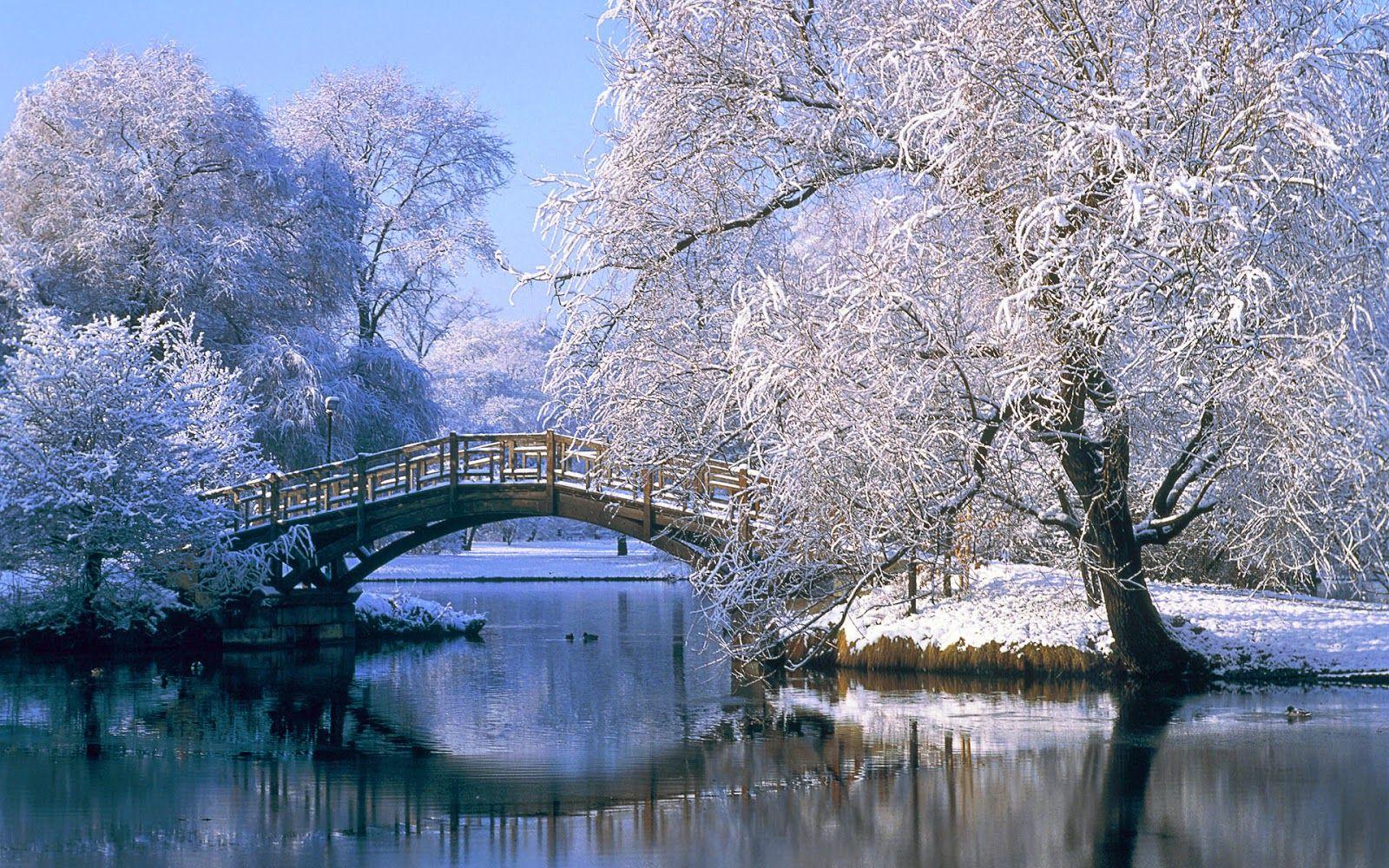 Beautiful Scenery Of Winter Season Free Hd Wallpaper