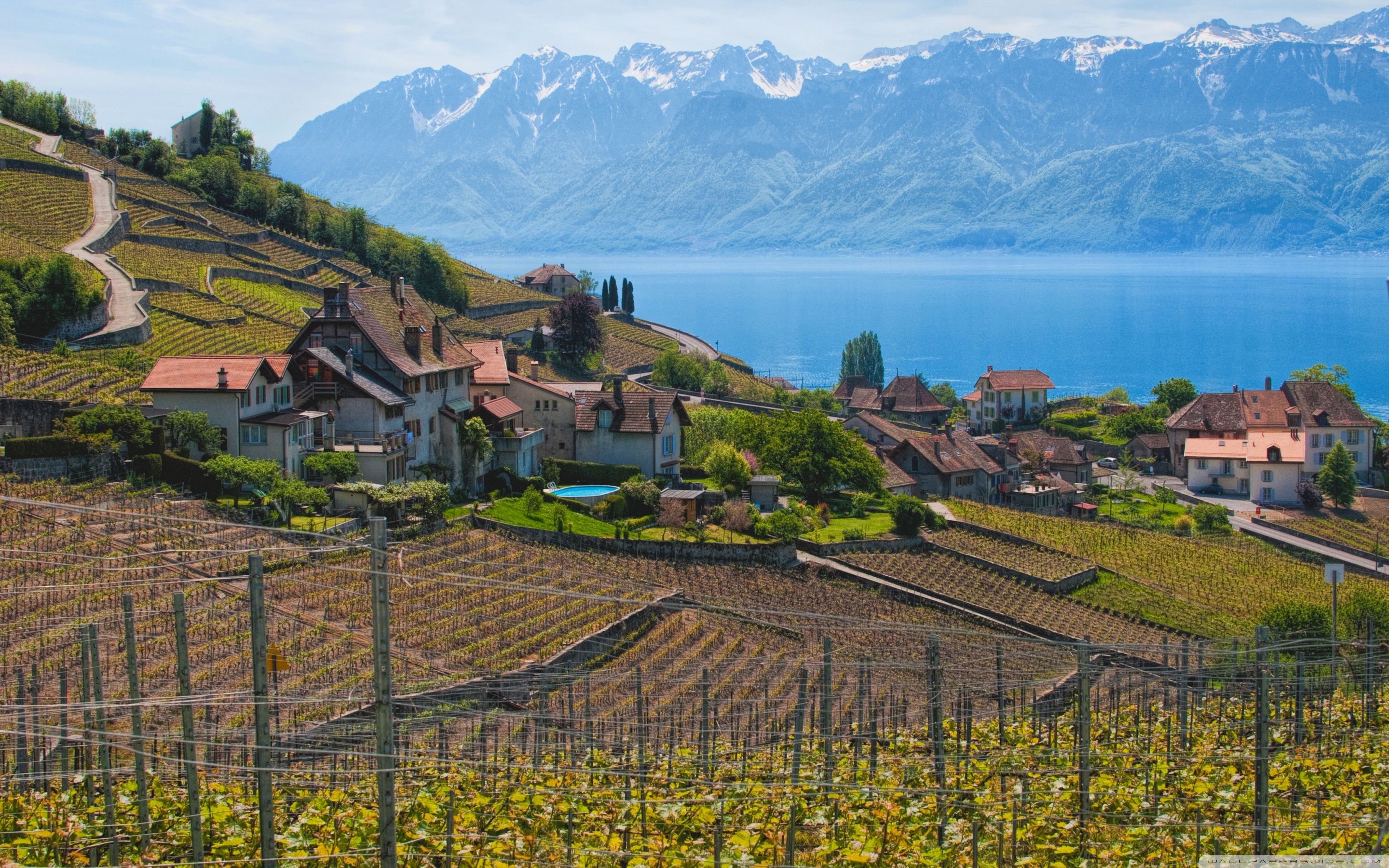 Lake Geneva, Switzerland ❤ 4K HD Desktop Wallpaper for 4K Ultra HD