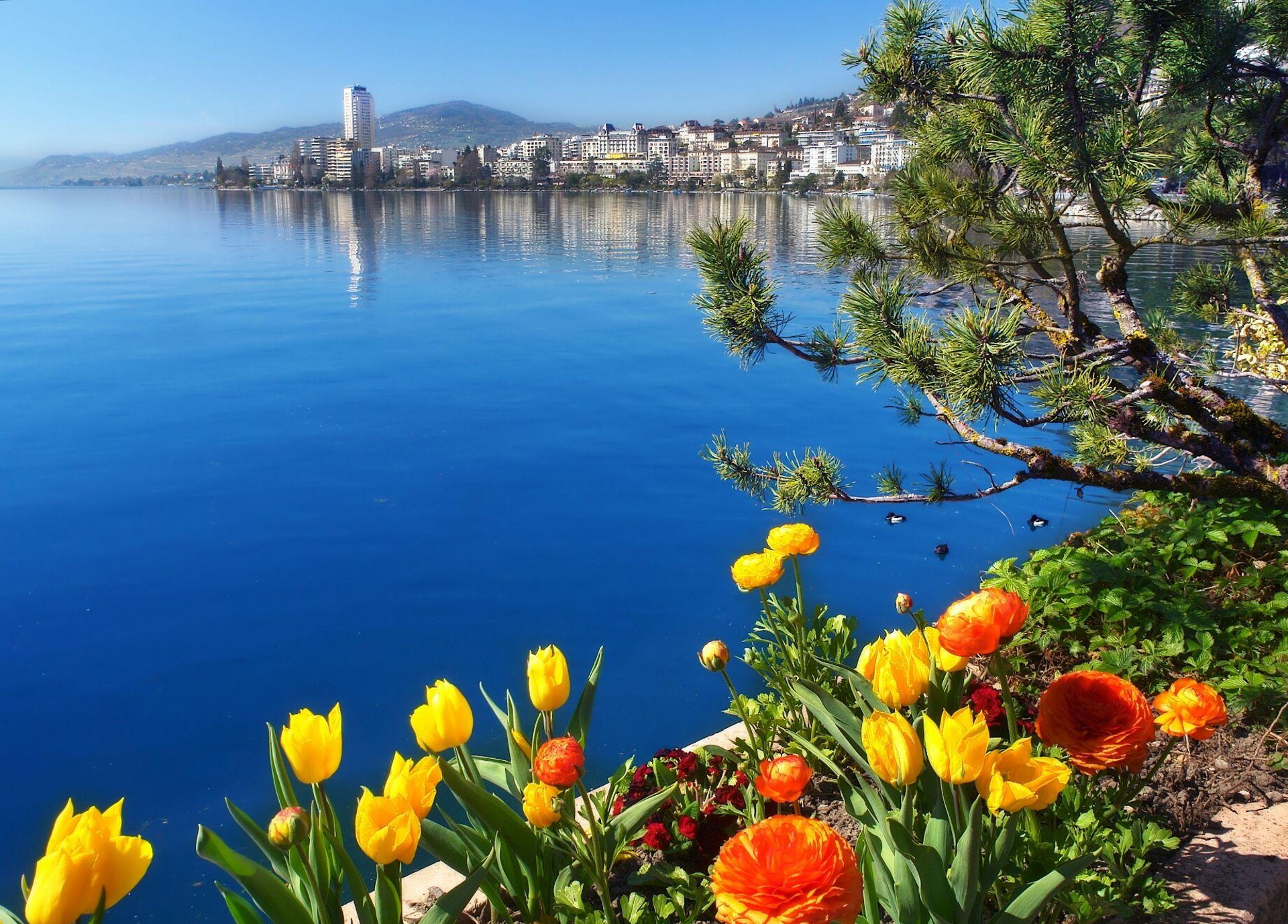 Lausanne, Lake Geneva HD Wallpaper. Background Imagex1377