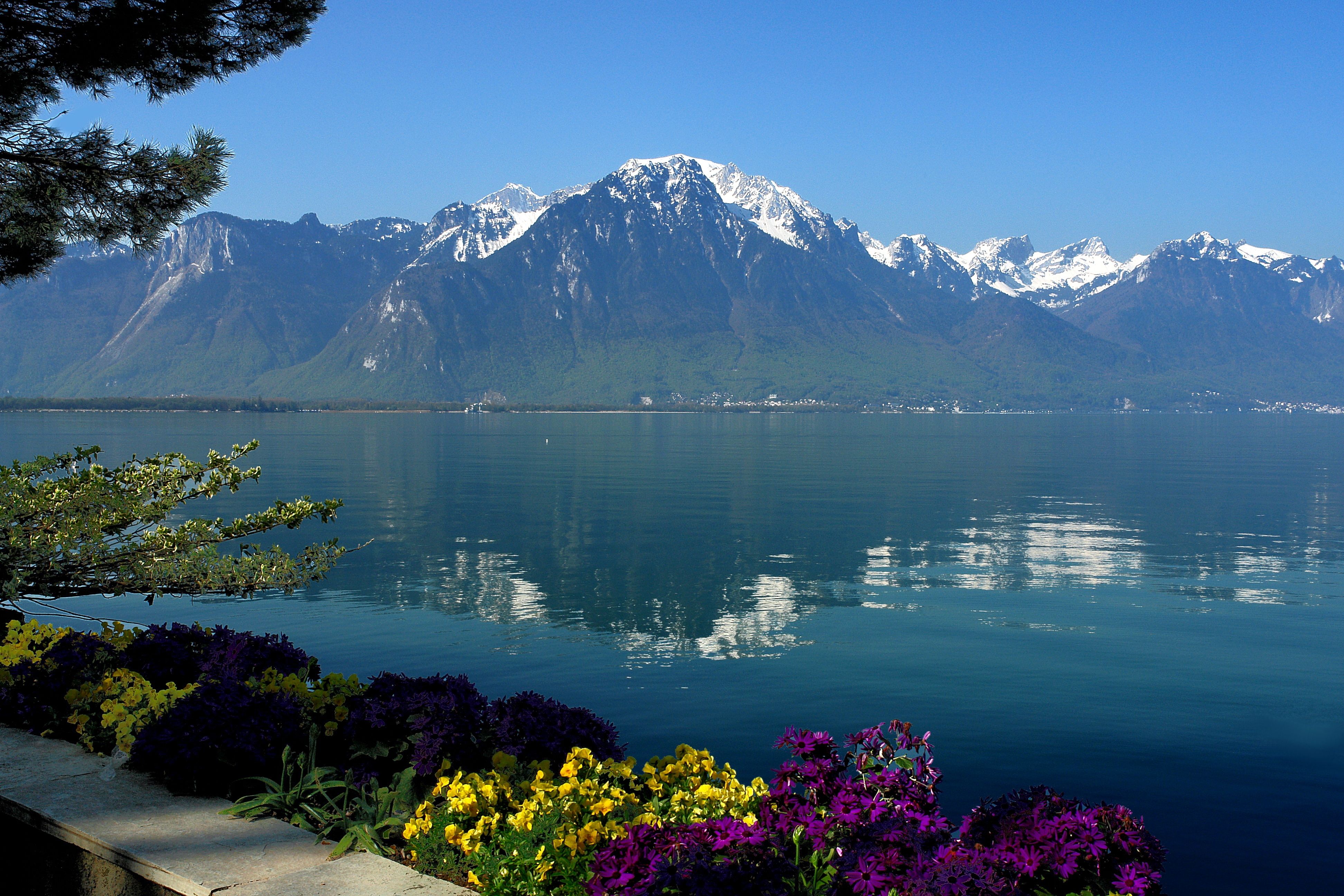 Wallpaper flowers, Switzerland, reflection, mountains, lake, water