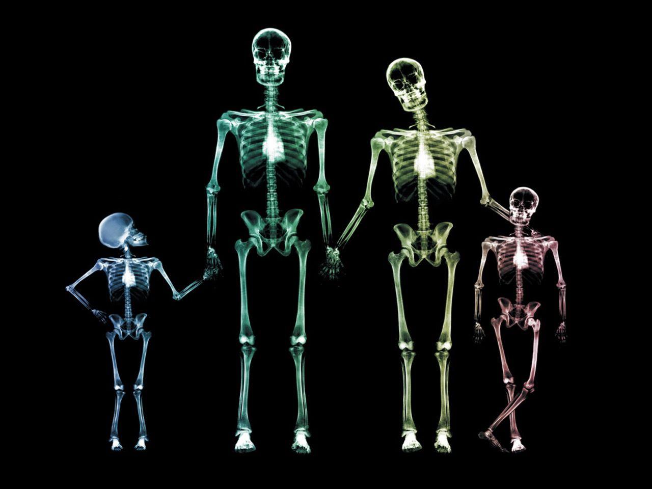 x ray family 3D wallpaperd wallpaper. Skeleton