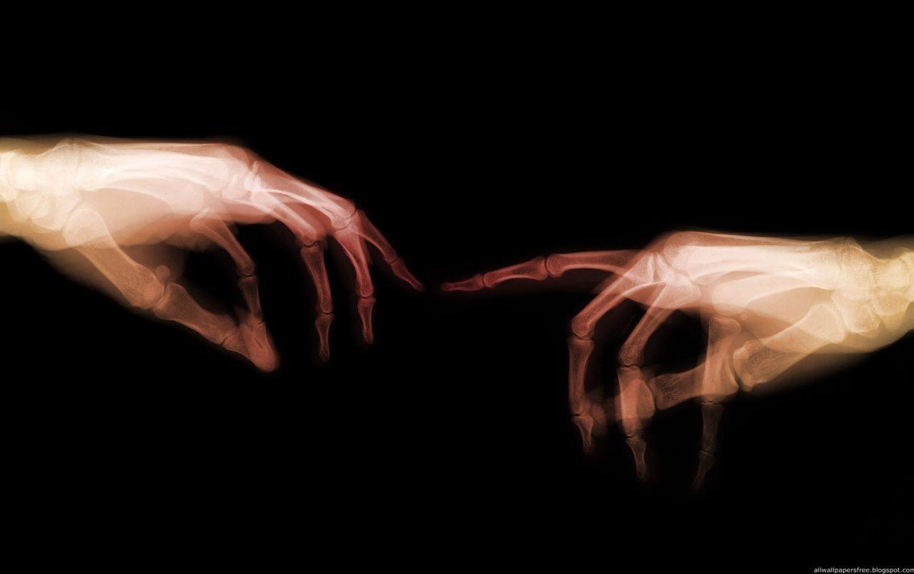 X Ray Hands wallpaper. X Ray Hands