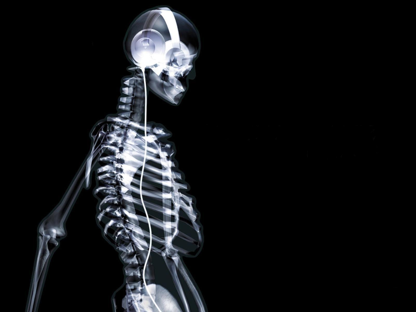 cool img max: HD Wallpaper City: Skeleton on X ray