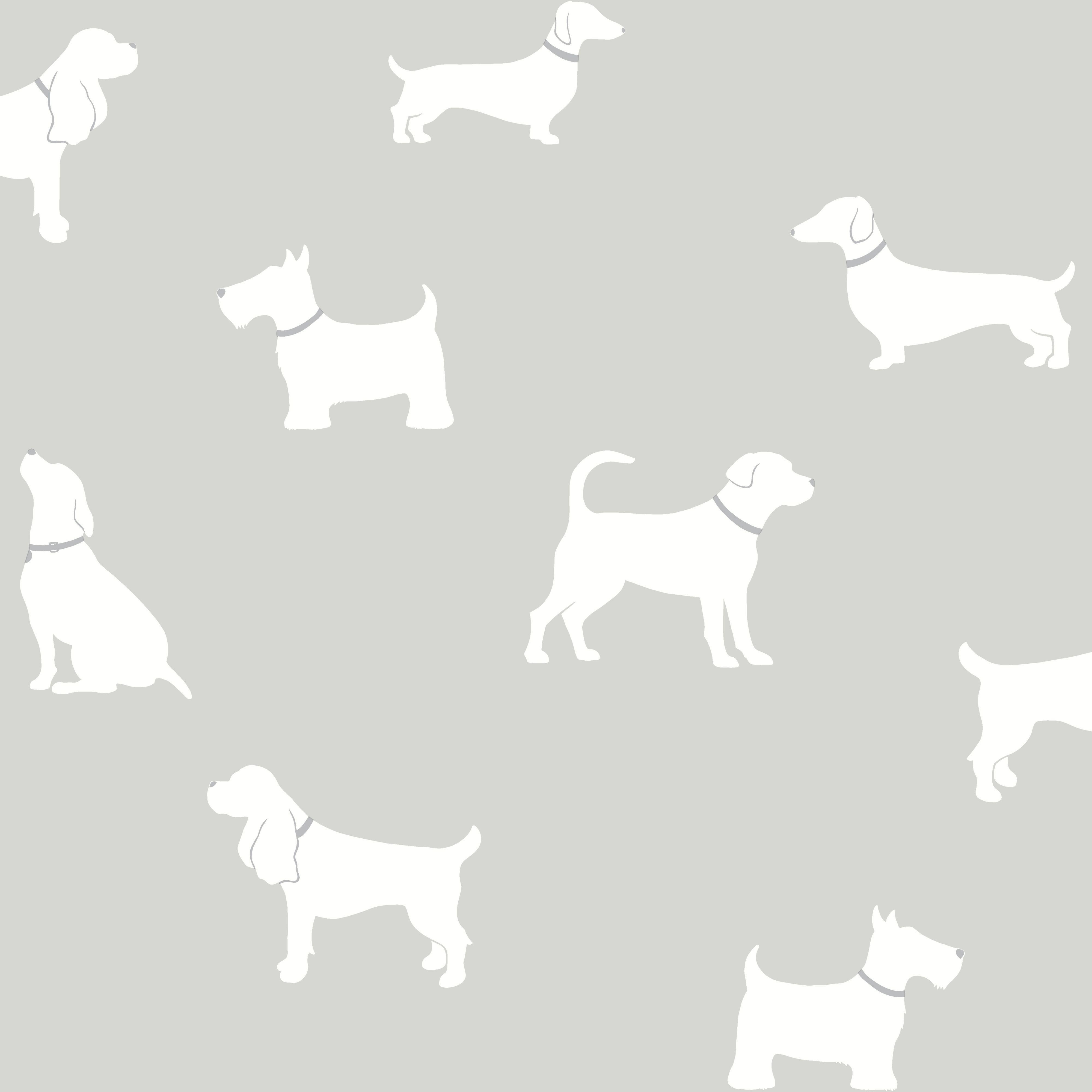 Colours Pooch Grey Dogs Mica Wallpaper. Departments. DIY at B&Q