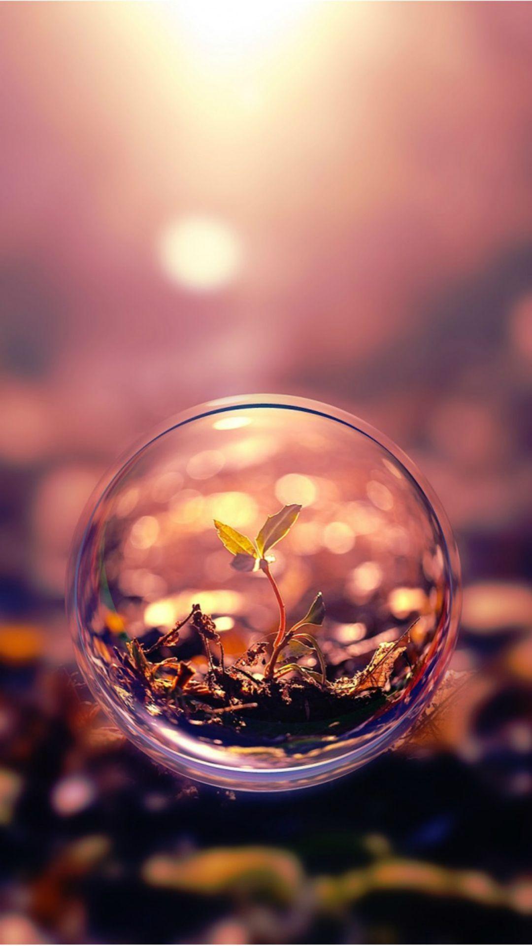 Beautiful Macro Photography Plant Water Bubble #iPhone