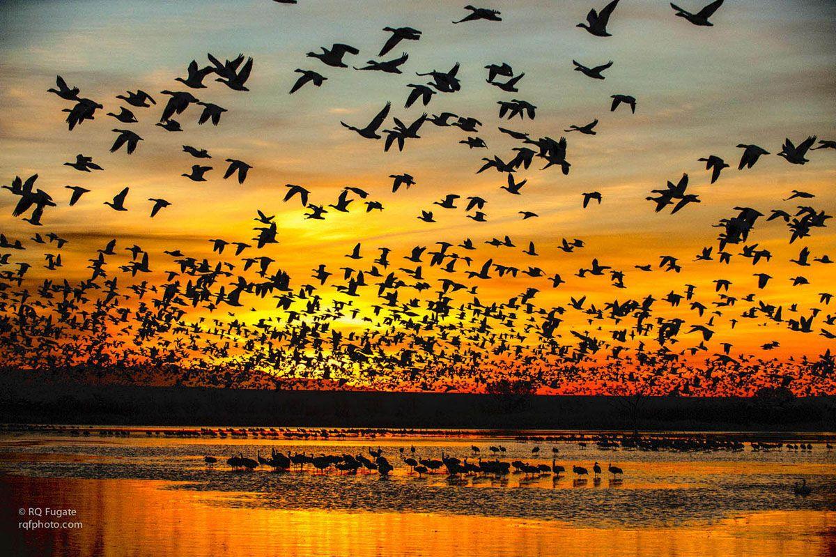 Photography Wallpaper Full HD To Free HD Wallpaper 6