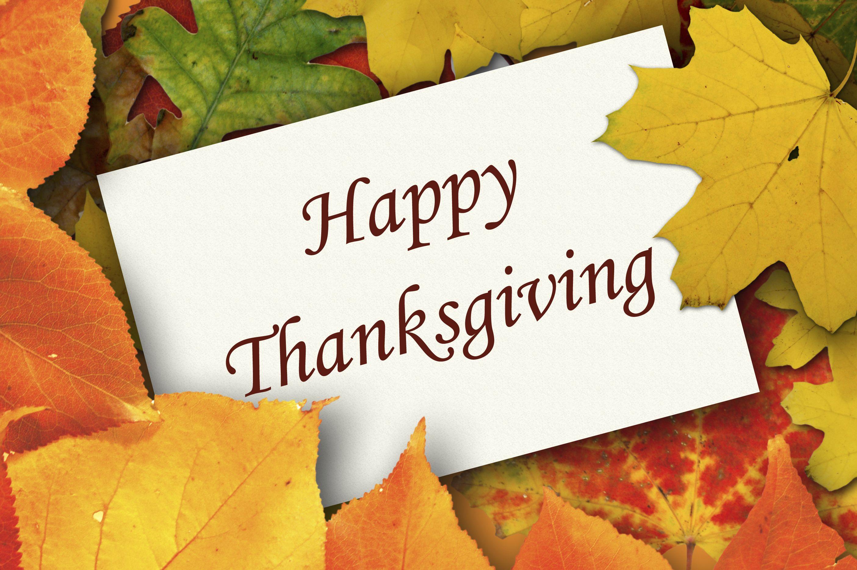Thanksgiving Background, Picture, Image