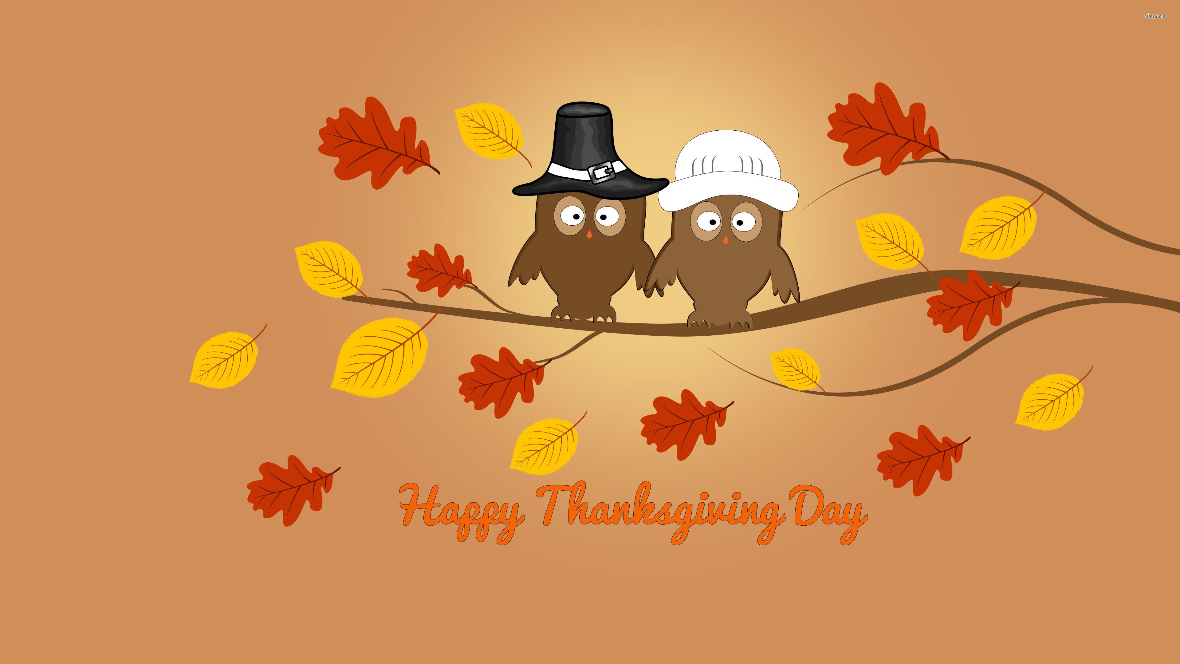 Owls Sitting Autumn Tree On Thanksgiving Day HD Wallpaper