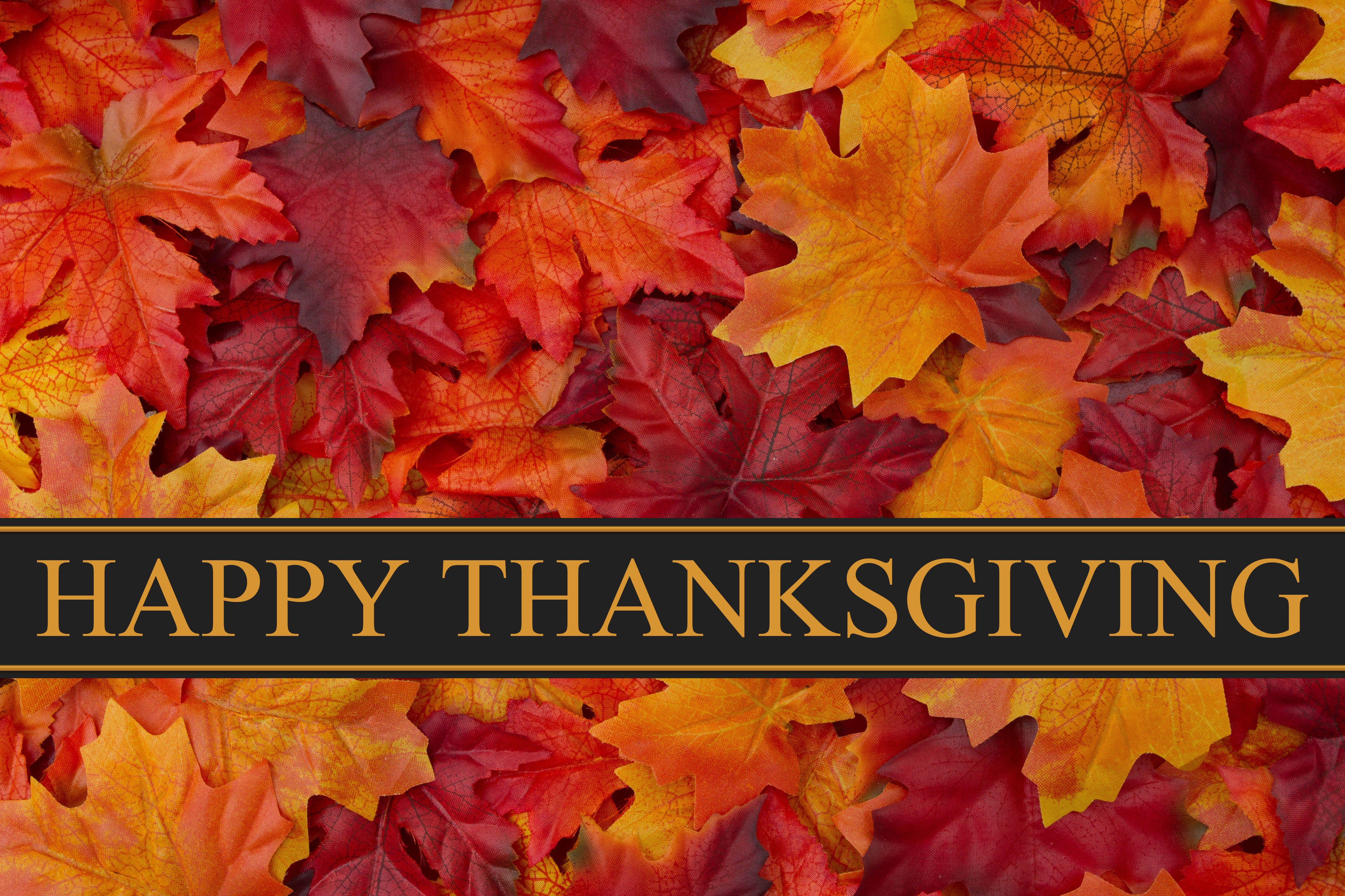 Happy Thanksgiving Day Leaves HD Pc Background Wallpaper