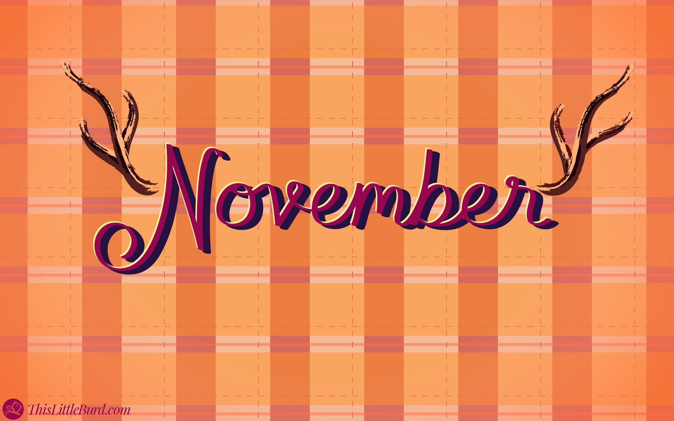 Free Wallpaper 2017 Little Burd