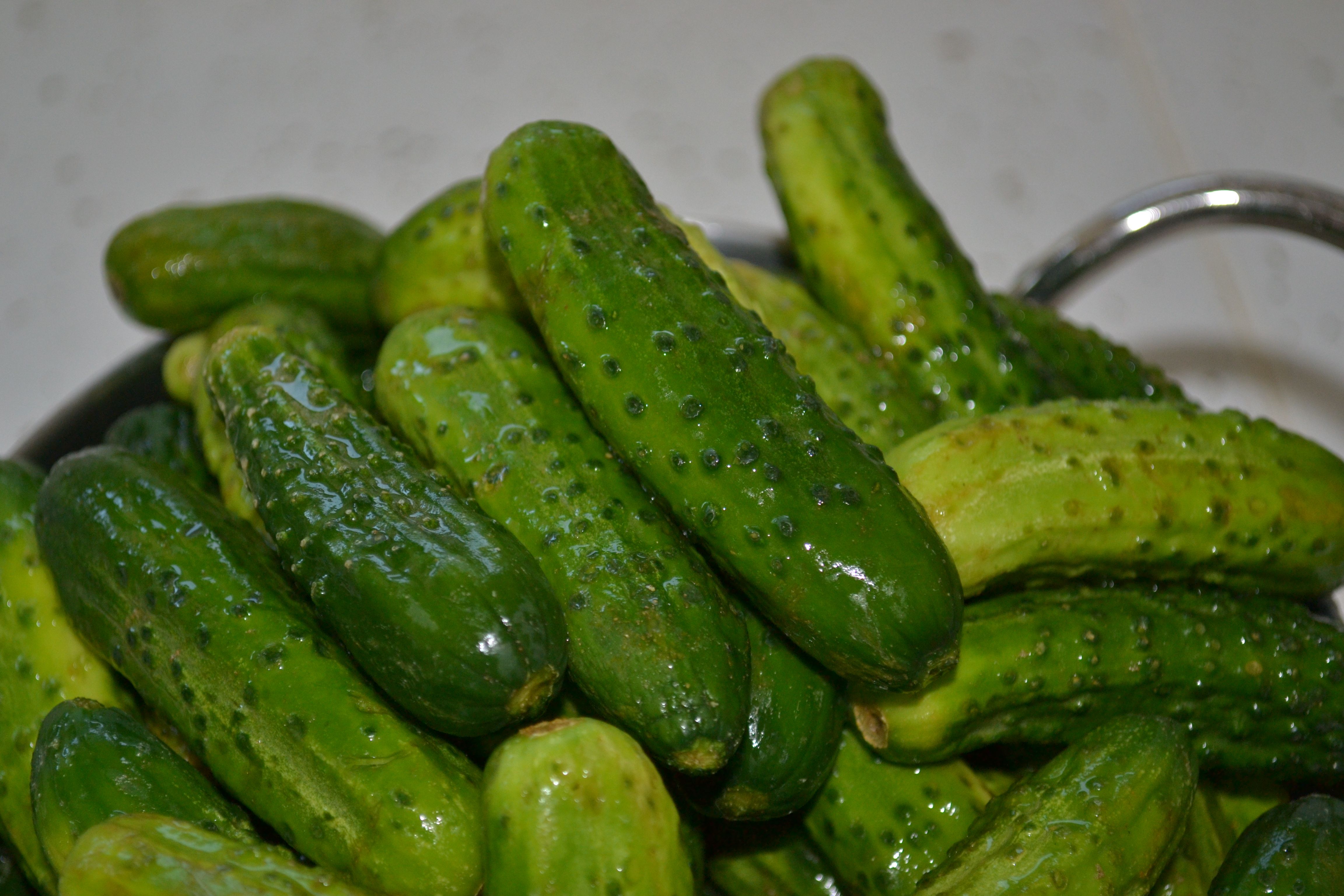Tons of awesome dill pickle wallpapers to download for free. 