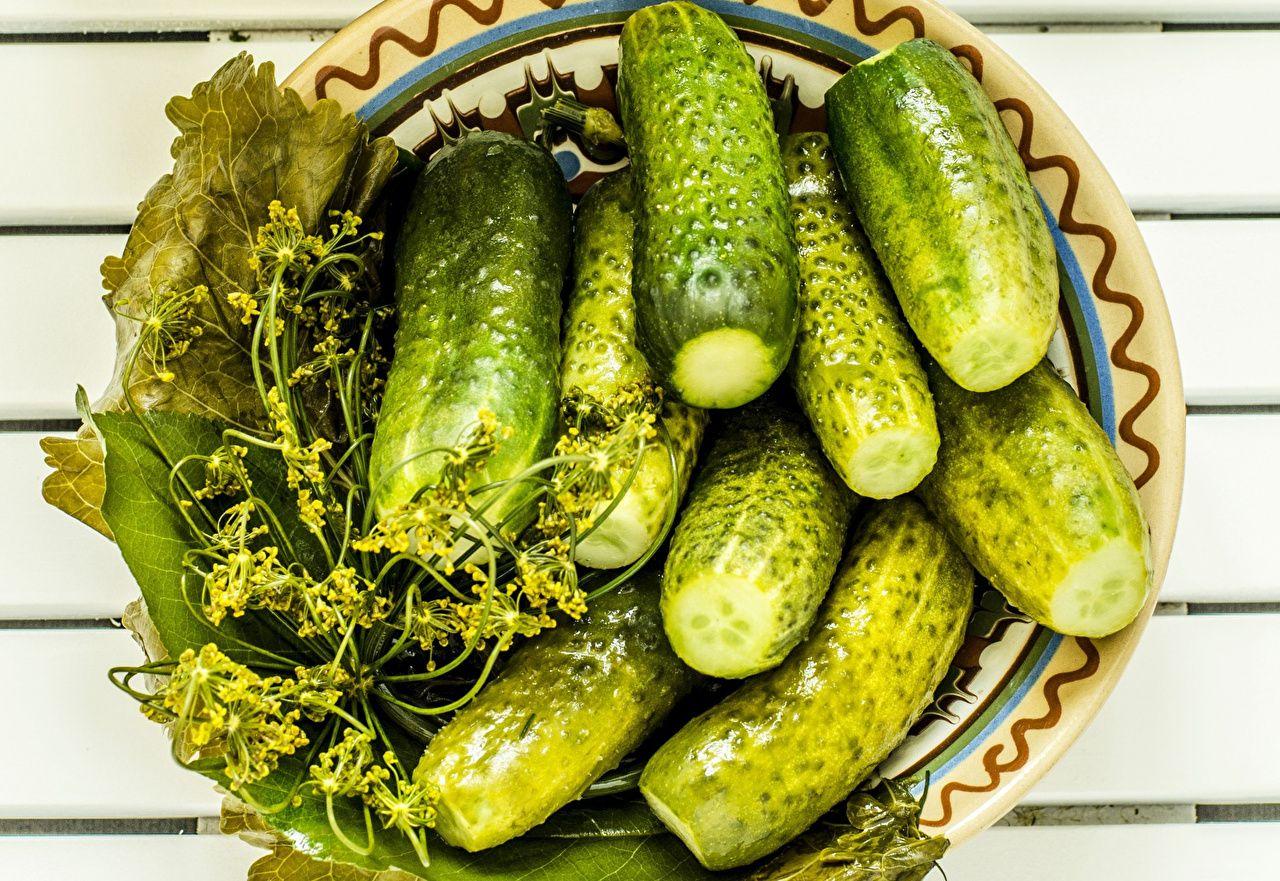 Photos Cucumbers Dill Food Vegetables