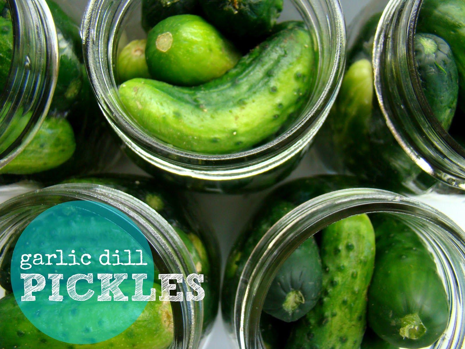 Family Feedbag: Garlic dill pickles