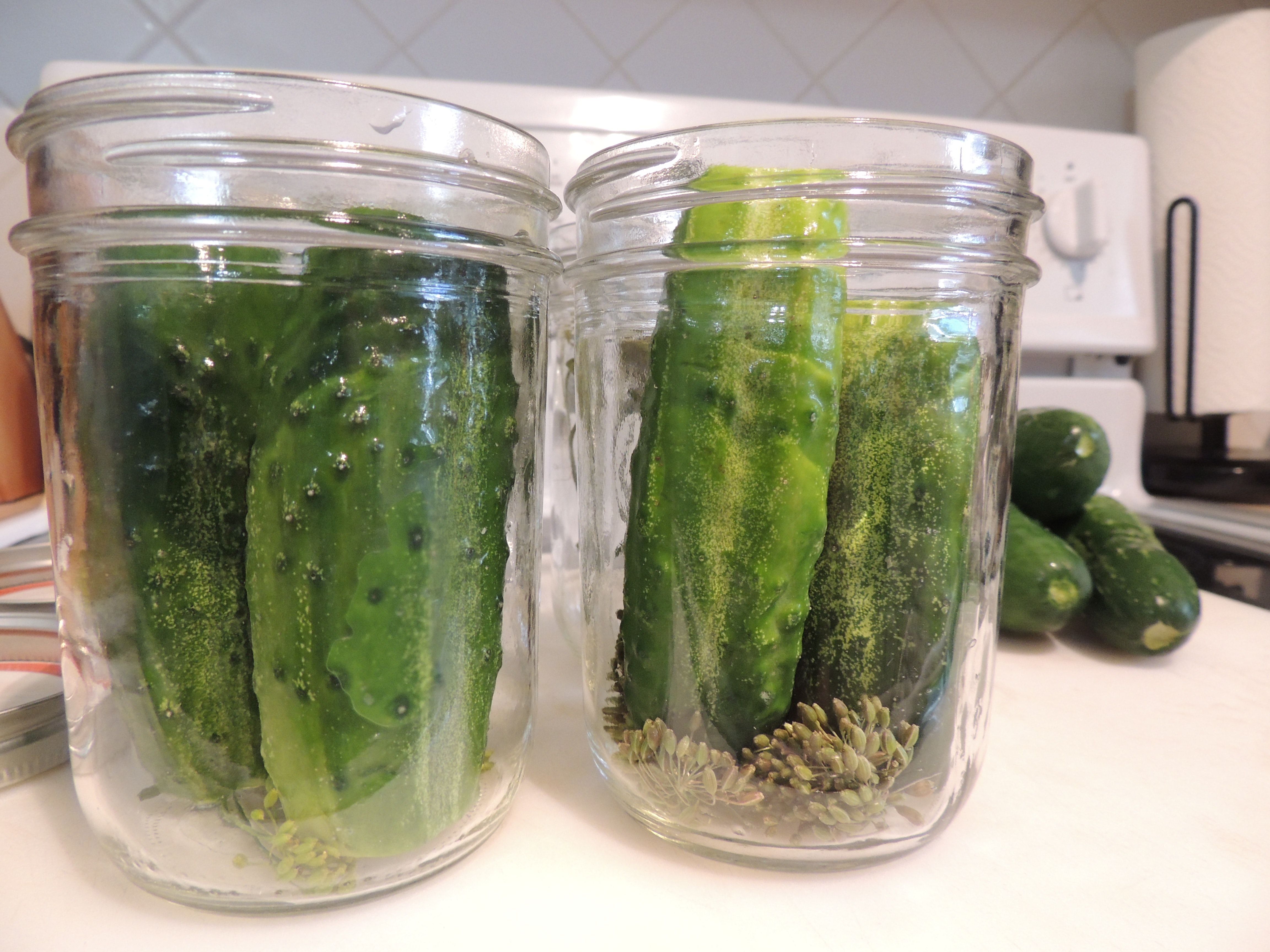 Free of canning jars, cucumbers, dill