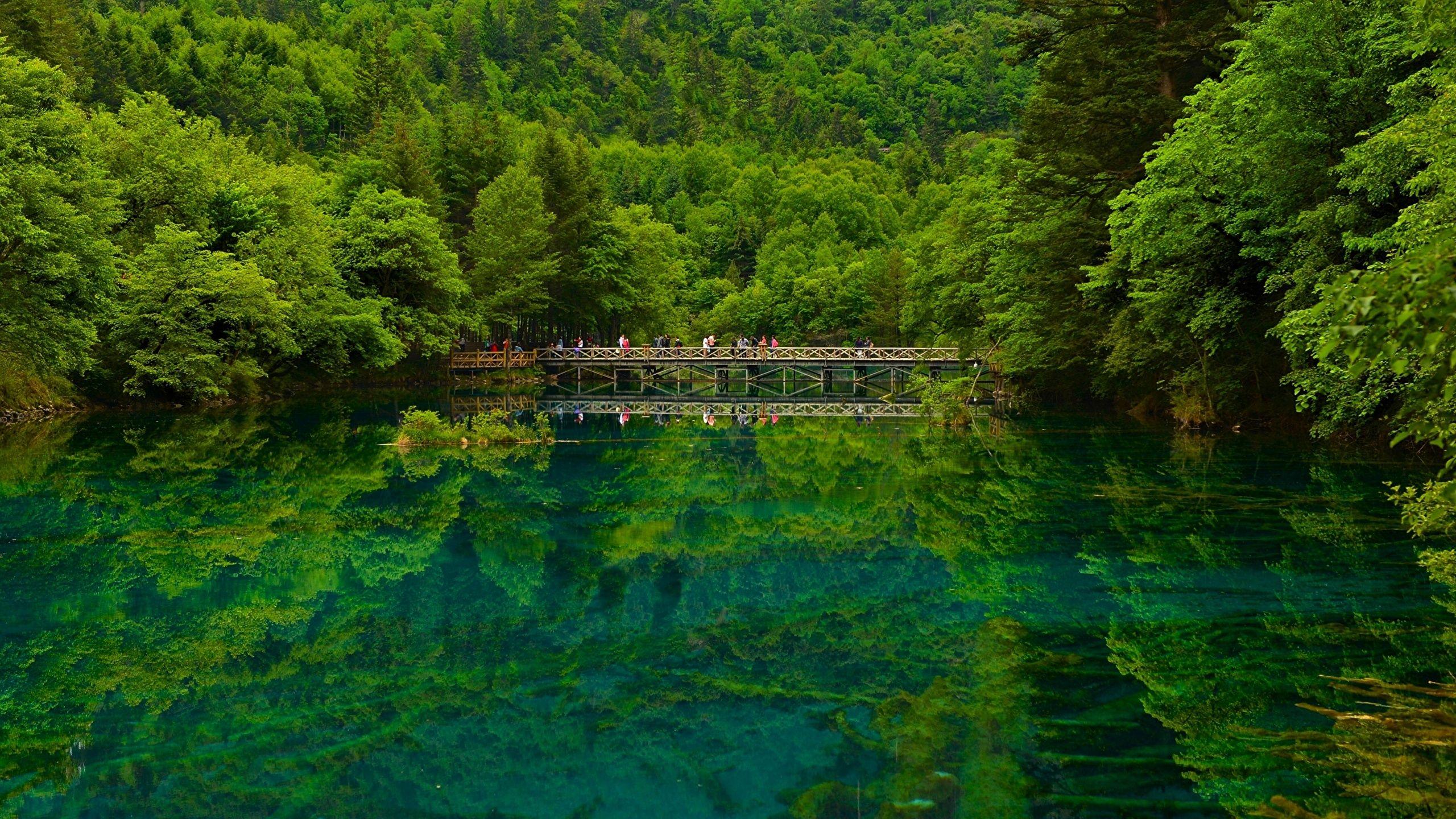 Photos Jiuzhaigou park China Sichuan Nature Bridges Lake 2560x1440