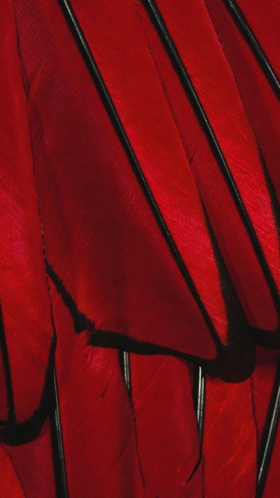Black Red Paint Color Feather #iPhone #plus #wallpaper. iPhone 6