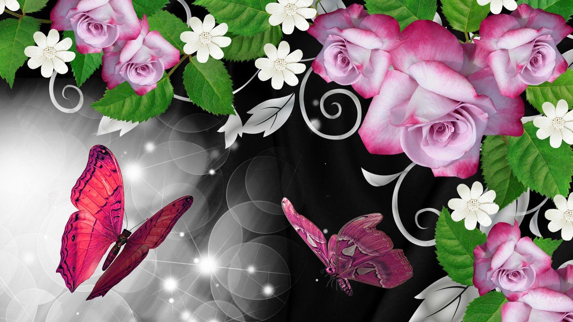 Pink Rose Butterfly. HD Pink Roses Butterfly Shine Wallpaper