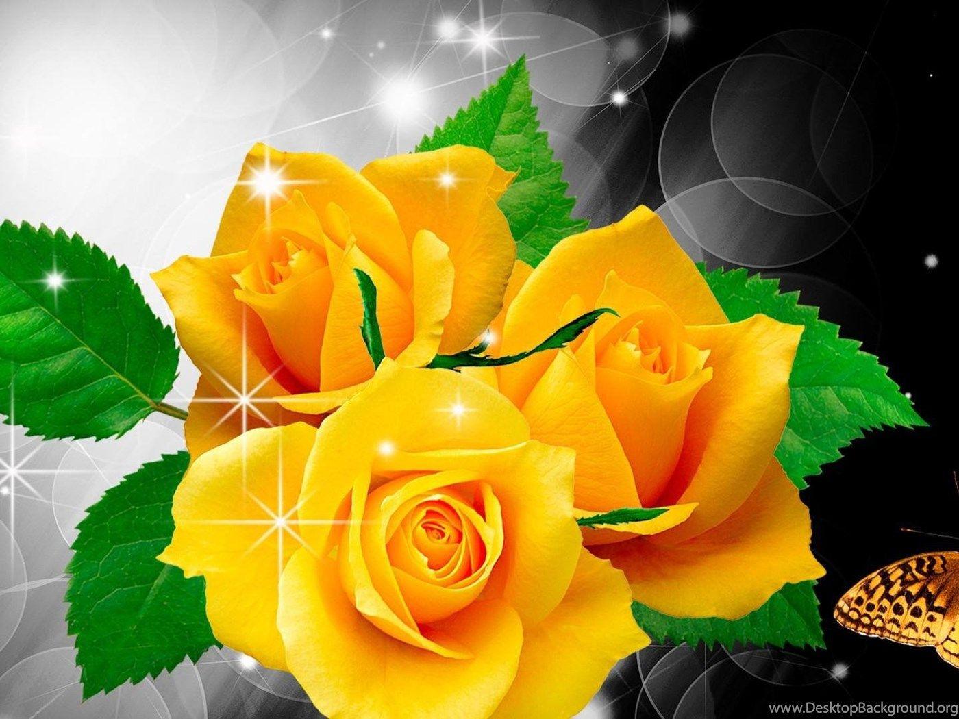Yellow Roses And Butterfly Wallpaper And Image Wallpaper