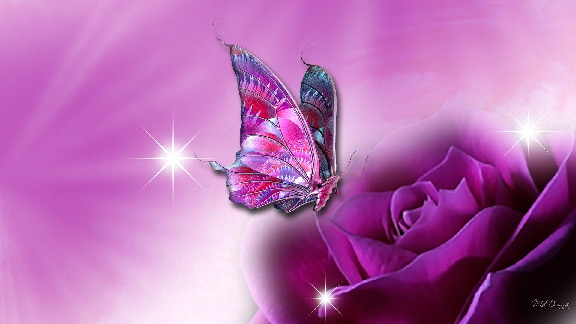 Rose And Butterfly Wallpaper, Picture
