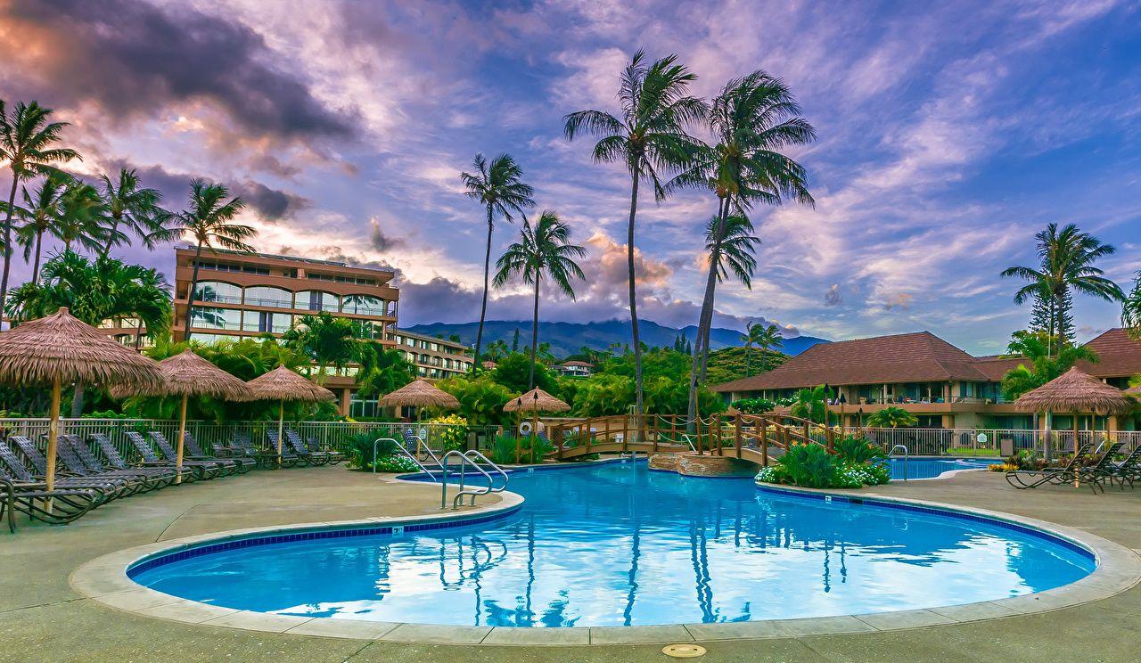 Wallpaper Hawaii Spa town Swimming bath Maui palm trees Cities