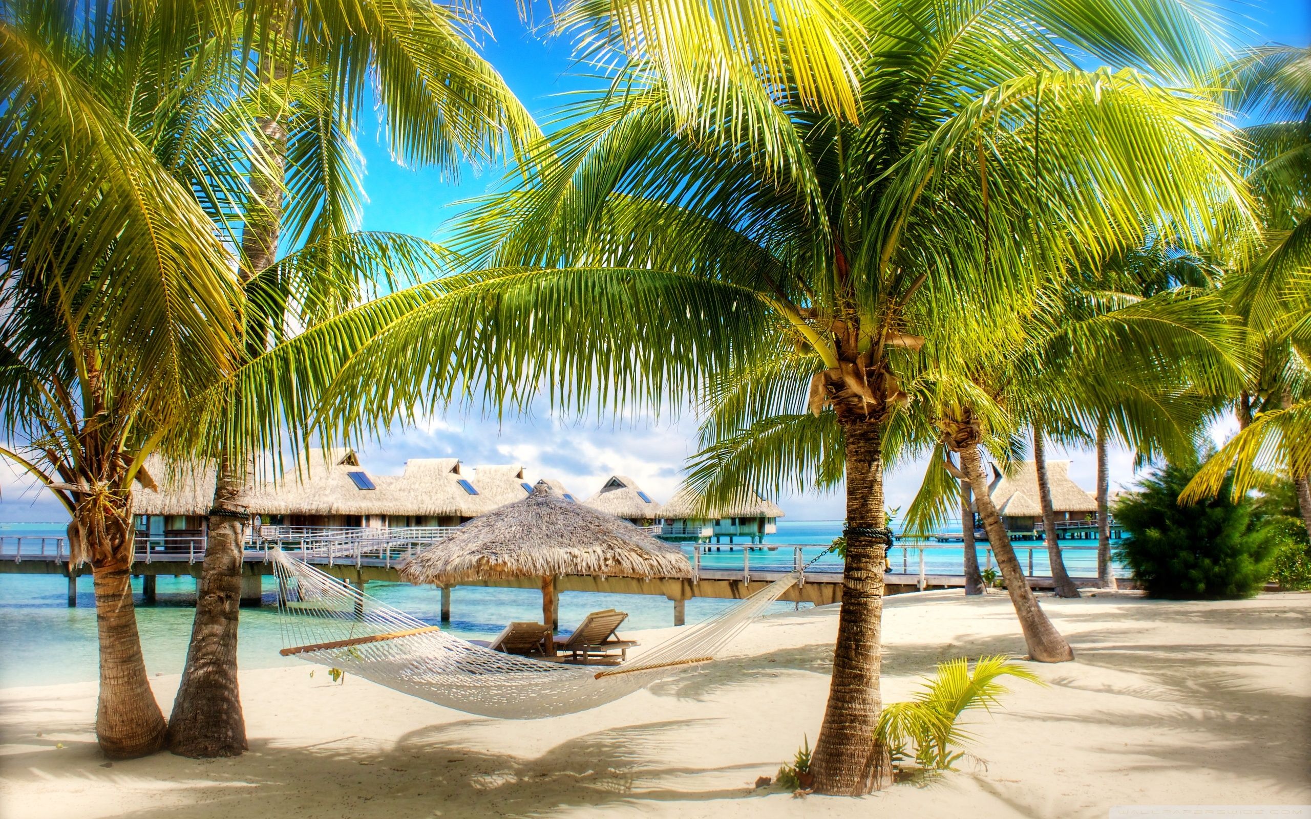 Tropical Beach Resorts Full HD Image